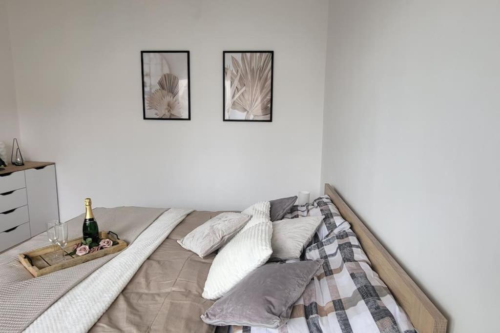 Utulny Byt V Centru Mesta Rychnov nad Kneznou Buitenkant foto